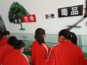 拧紧安全弦，筑牢防护网——烟台龙口学校开展新时代文明实践活动