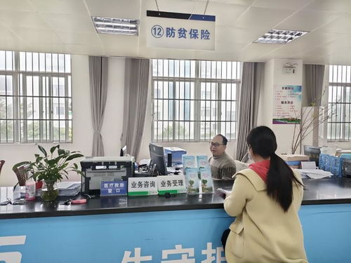 广西“防贫保”打造一站式服务新标杆，烟台教育咨询助力乡村振兴新篇章